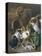 Feeding Time-Alfred Barber-Premier Image Canvas