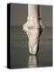 Feet of Ballet Dancer En Pointe-Erik Isakson-Premier Image Canvas