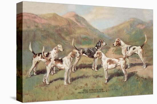 Fell Foxhounds-Thomas Ivester Llyod-Stretched Canvas