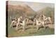 Fell Foxhounds-Thomas Ivester Llyod-Stretched Canvas