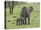 Female African Elephant with baby, Serengeti National Park, Tanzania-Adam Jones-Premier Image Canvas