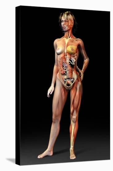 Female Body, Artwork-Jose Antonio-Premier Image Canvas