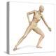 Female Body in Dynamic Posture with Lymphatic System Superimposed-null-Stretched Canvas