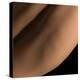 Female Body Texture. Closeup Part of Woman's Body. Skincare, Healthcare, Hygiene and Medicine Conce-master1305-Premier Image Canvas