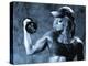 Female Bodybuilder with Dumbbell-null-Premier Image Canvas
