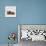 Female Crested Guinea Pig with Three Six-Week Babies, UK-Jane Burton-Premier Image Canvas displayed on a wall