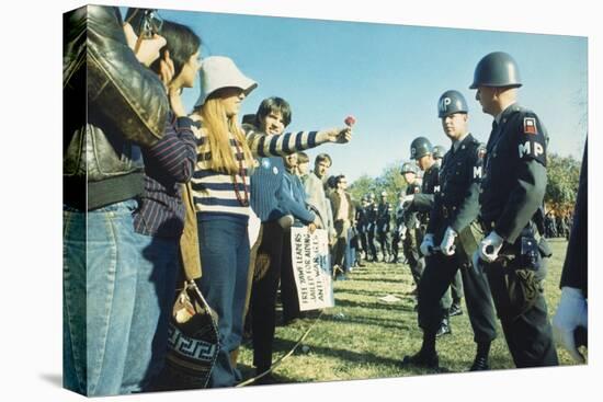 Female Demonstrator Offers a Flower to Military Police During the 1967 March on the Pentagon-null-Stretched Canvas