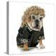 Female Dog - English Bulldog Wearing Blonde Wig and Black Leather Coat-Willee Cole-Premier Image Canvas
