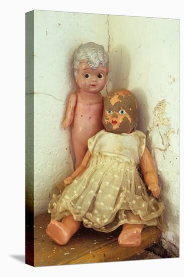 Female Dolls-Den Reader-Premier Image Canvas