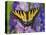 Female Eastern Tiger Swallowtail Butterfly on Delphinium-Darrell Gulin-Premier Image Canvas