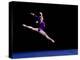 Female Gymnast Performing on the Floor Exercise-null-Premier Image Canvas