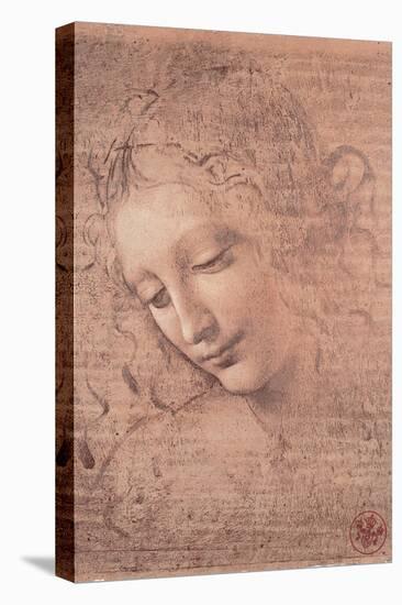 Female Head (La Scapigliata), c.1508-Leonardo da Vinci-Stretched Canvas