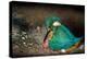 Female Kingfisher covering chicks with her wings, Italy-Angelo Gandolfi-Premier Image Canvas