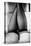 Female Legs in Tights-Rory Garforth-Premier Image Canvas