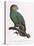 Female of the Douro-Couraou Parrot-Jacques Barraband-Premier Image Canvas