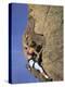 Female Rock Climber-null-Premier Image Canvas