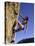 Female Rock Climber-null-Premier Image Canvas