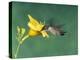 Female Ruby-Throated Hummingbird Feeding in Flight-Adam Jones-Premier Image Canvas