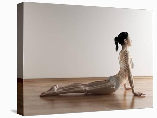 Female Stretching, Artwork-SCIEPRO-Premier Image Canvas