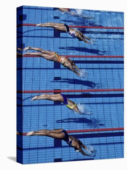 Female Swimmers at the Start of a Race-null-Premier Image Canvas