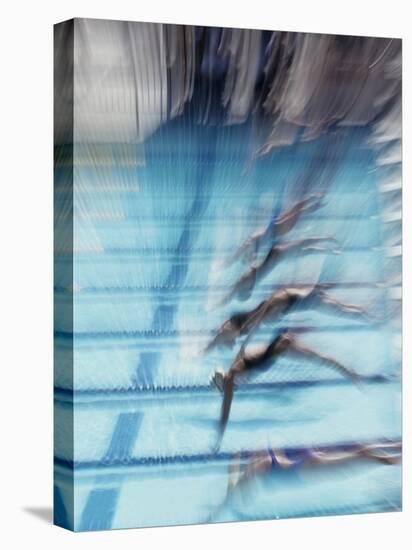 Female Swimmers at the Start of a Race-null-Premier Image Canvas