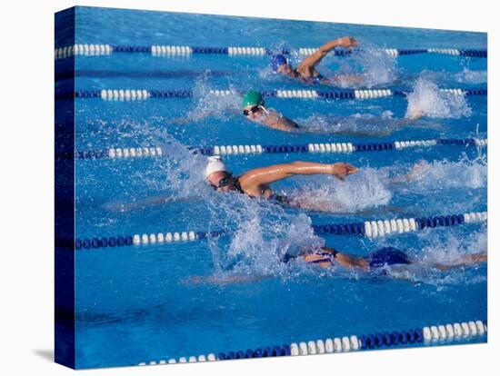 Female Swimmers Competing in a Freestyle Race-null-Premier Image Canvas