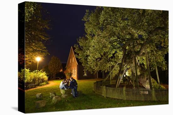 Femeiche' the Court Tree at Night-Solvin Zankl-Premier Image Canvas