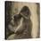 Femme, nue, se coiffant-Edgar Degas-Premier Image Canvas