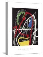 Femme, Oiseaux, 1976-Joan Miro-Stretched Canvas