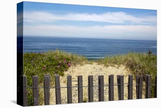 Fence and Sand Dunes on Coast-Paul Souders-Premier Image Canvas