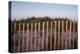 Fence in Sand Dunes, Cape Cod, Massachusetts-Paul Souders-Premier Image Canvas