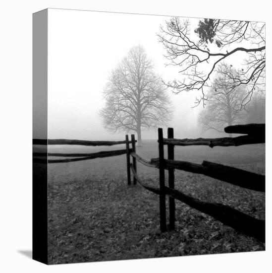 Fence in the Mist-Harold Silverman-Stretched Canvas