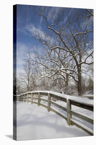 Fence in the Snow #2, Farmington Hills, Michigan ‘09-Monte Nagler-Stretched Canvas