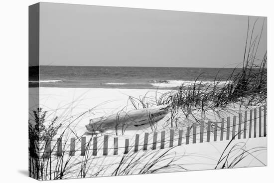 Fence on the beach, Bon Secour National Wildlife Refuge, Gulf of Mexico, Bon Secour, Baldwin Cou...-null-Premier Image Canvas