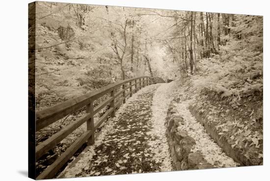 Fence & Pathway, Munising, Michigan '12-Monte Nagler-Stretched Canvas