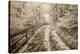 Fence & Pathway, Munising, Michigan '12-Monte Nagler-Premier Image Canvas