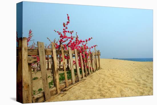Fence, Sand Dunes and Flower in Seaside-kenny001-Premier Image Canvas