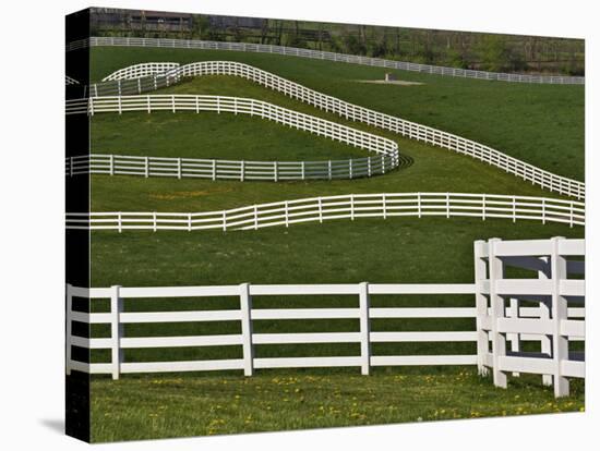 Fence Winding Across Calumet Horse Farm, Lexington, Kentucky, USA-Adam Jones-Premier Image Canvas