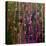 Feng Shui Cane Hot Pink-Herb Dickinson-Premier Image Canvas