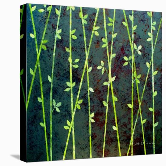 Feng Shui Cane-Herb Dickinson-Premier Image Canvas