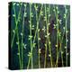 Feng Shui Cane-Herb Dickinson-Premier Image Canvas