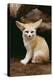 Fennec Fox Sitting-null-Premier Image Canvas