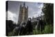 Feral Pigeons (Columba Livia) Outside the Houses of Parliament in Westminster. London, UK-Sam Hobson-Premier Image Canvas