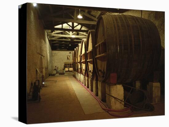 Fermentation Vats in Winery, Domaine Saint Martin De La Garrigue, Montagnac-Per Karlsson-Premier Image Canvas