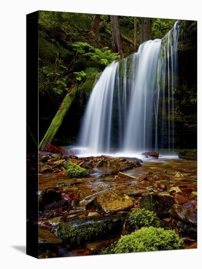 Fern Falls, Coeur D'Alene National Forest, Idaho Panhandle National Forests, Idaho, United States o-James Hager-Premier Image Canvas