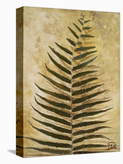 Ferns III-Patricia Pinto-Stretched Canvas