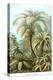 Ferns-Ernst Haeckel-Stretched Canvas