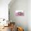 Ferrets 002-Andrea Mascitti-Premier Image Canvas displayed on a wall