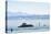 Ferry, Friedrichshafen, Lake of Constance, Baden-Wurttemberg, Germany-Ernst Wrba-Premier Image Canvas