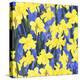 Fertile Rising Pattern - Daffodils-Carissa Luminess-Premier Image Canvas